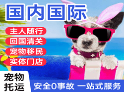 沈阳空运地址国际宠物托运 【国